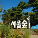 서울숲10 이미지
