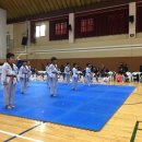 경희대 튼튼태권도 이미지