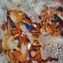 후포항 수산 이미지