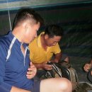 돼지들의이야기 이미지