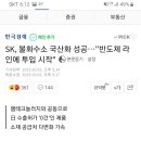 SK, 불화수소 국산화 성공, 반도체라인 투입 시작, 반도체업계 '한숨 돌렸다' 이미지