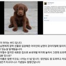 낼름