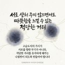 고슴도치 딜레마와 그라시안의 '적당한 거리' 이미지
