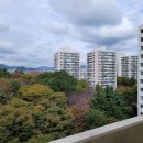 주공아파트 이미지