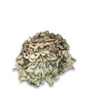 익수약국 이미지