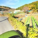 금정공인중개사사무소 이미지