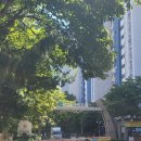 장안근린공원 내 | “장안동 실거주 꿀단지 🏡 장안삼성래미안1차아파트 임장후기”