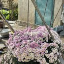 하제보건진료소 이미지