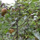 산너머강촌 이미지