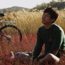 야간비행 이미지