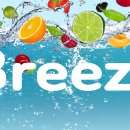 브리즈(breeze) 네이버블로그