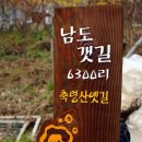 편백나무민박