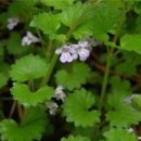 잎소아청소년과의원 이미지