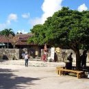 코센허브 이미지