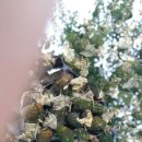 초록빛펜션 이미지