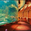 호텔 알 이미지