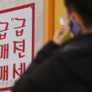 부동산