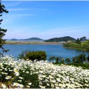 장산도