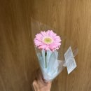 즐거운셀러 | 일상)더플라워셀러 대실역점 만원의 행복 꽃다발 🥰❤️