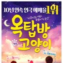 옥탑방 고양이 이미지