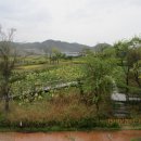 봉화산 등산로 공원