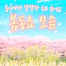 봄동요모음~🌸 살랑살랑 봄바람과 어울리는 동요 연속듣기!!💛 취향에 따라 골라 들으세요~ 신나는 봄동요 연속재생!! 어린이 동요 키 이미지