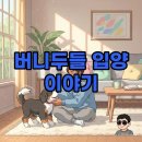 유어펫 라운지 강아지분양 | 버니두들 분양, 강아지 건강과 분양가 솔직 후기