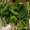 숲속농장 이미지