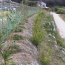 고산보건진료소 이미지