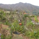 우복동마을 이미지