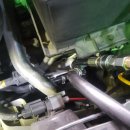 장일카센타 이미지