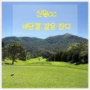 신원 | [신원cc _용인] 주주 회원제 신원cc 라운딩 후기 feat. 데이비드 솔로몬 코스