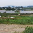 진옥농장 이미지