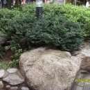 부평1리 이미지