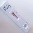 영천시보건소 선별진료소 | 코로나 확진 증상과 PCR 검사받기 (feat. 영천시 보건소 선별 진료소)