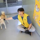 미코 그루밍 이미지