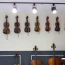 밀레니엄 제이 이미지