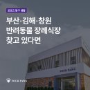 포포즈 반려동물장례식장 부산점 이미지