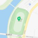 장성황룡강노란꽃잔치 축제장5 이미지