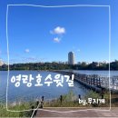 일박이일쓰리룸 이미지