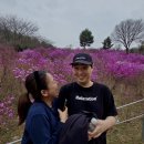 마켓진달래 | 부천 봄나들이 추천 🌸 진달래동산 축제 다녀온 후기