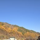 상촌면 물한계곡주차장 화장실 이미지