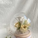 베르닷다