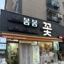 꽃말꽃집 | [상견례 양가 선물 추천] 부천 봄봄꽃집 | 꽃말 예쁜 선물 호접란 화분 내돈내산 만족 후기