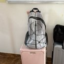 기린농장 | [베트남] 푸꾸옥 북부여행 빈펄사파리 꿀팁 ⭐️ 기린식당 카피바라 코끼리 먹이주기 추천 ⭐️