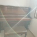 상남동121 이미지