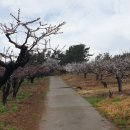 부동마을회관 이미지