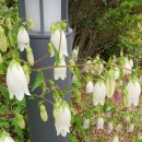 재아건설 이미지