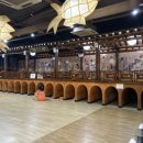 스파렉스 이미지