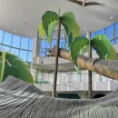 1인1악기 초등난타체험 | 경기북부어린이박물관 세돌 아이와 경기도 가볼만한 곳, 공룡 좋아하는 아이 천국